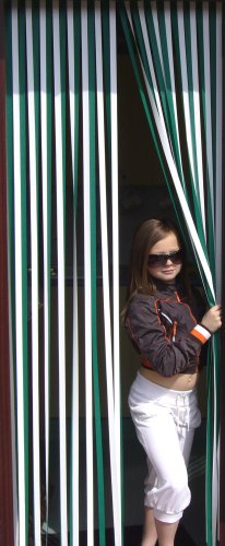 Slat Type Door Curtain, Strip Blind - GREEN & WHITE