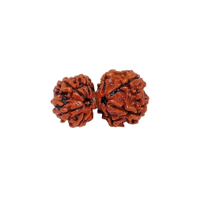 See full amazon price history chart for Rudracharms Certified Mukhi Rudraksha/Faced Rudraksha Pendant Original Rudraksha Locket (Color : Brown) Rudracharms Certified Mukhi Rudraksha/Faced Rudraksha Pendant Original Rudraksha Locket (Color : Brown) (B0D98S3SNF) Amazon Price History, Amazon Price Tracker