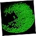 POPETPOP Luminous Fishing Beads Night Light Buoy Fishing Line Stop Durable Glow Beads for Night Anti-Collision Drifting Seat Essential Accessories