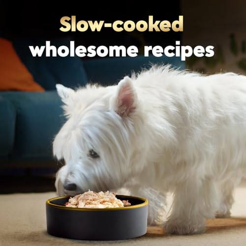 Image of Cesar Wholesome Bowls Wet Dog Food, Chicken Recipe, 3 oz, 10 Count | Real chicken #1 ingredient, slow-cooked, 7 key ingredients, no by-products or artificial flavors, easy to digest