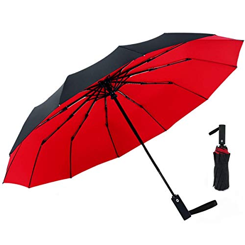 Folding Umbrella, Compact Travel Umbrella 12 Ribs Double Canopy Anti Rain & Sun