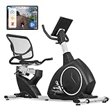 Lifespan Fitness RC-300 Recumbent Bike, black