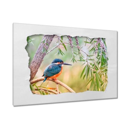 Peinture imprimée sur toile oiseau pour raviver un mur blanc triste