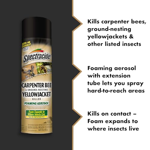 Spectracide Carpenter Bee & Gound-Nesting Yellowjacket Killer, 16 Oz