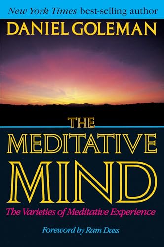 The Meditative Mind view 2
