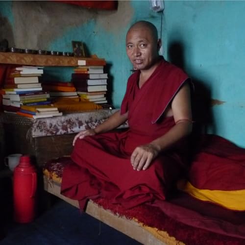 Instantan&eacute;s du monde &agrave; Dharamkot ( Dharamsala, Inde )