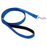 cobee Reflektierende Hundeleine mit gepolstertem Griff, 5 FT Nylon Hundeleine mit Metallklammern Welpen reflektierende Leinen Heavy Duty Hundetraining Leine für kleine / mittlere Hunde (blau)