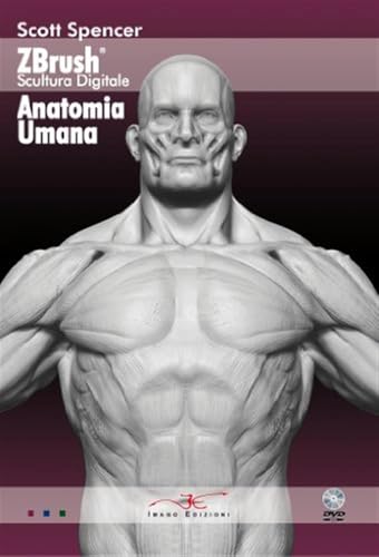 Zbrush escultura digital anatomía humana