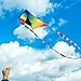 HONBO Giant Bloom Kite for Kids & Adults, Beginner Kites for Kids Ages 4-8, 8-12, Easy Flying Beach Kite, Outdoor Toy, for Boys and Girls (Flower)