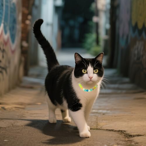 30cm Leuchtende Bunte Perlen Haustierhalskette – Hundehalsband und Katzenhalsband, Glow-in-The-Dark für Kleine Hunde, Katzen & Welpen, Sichtbar & Stilvoll bei Nacht, Alltagstauglicher Haustierbedarf