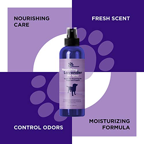 Lavender Oil Dog Deodorizing Spray - Dog Spray for Smelly Dogs and Puppies and Dog Calming Spray with Lavender Essential Oil - Lightly Scented Dog Deodorizer for Smelly Dogs and Dog Essentials