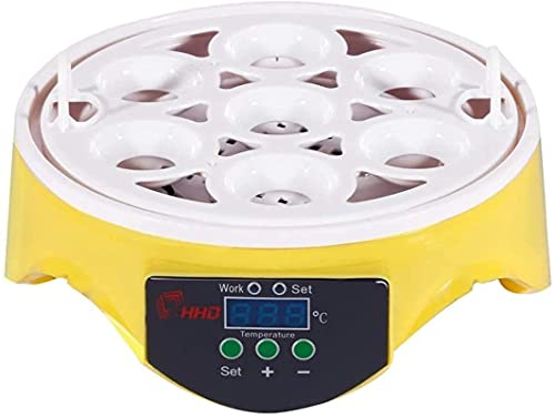 Mini Digital Egg Incubator Automatische ei Draaien Temperatuurregeling, 7 Eggs Poultry Hatcher voor kippen Eenden vogels… - Afbeelding 6