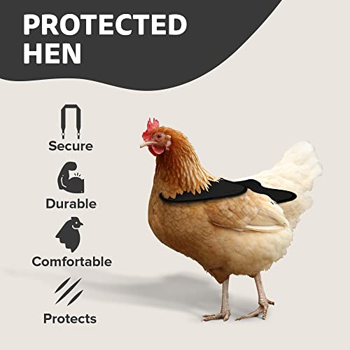 Hen Saver Hen Apron/Saddle, Single Strap, Removable Shoulder Protector, Large, Black #TOP3