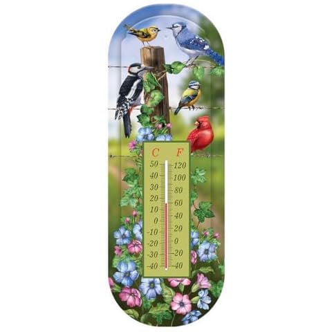 Briarwood Lane Country Birds Metal Thermometer Cover