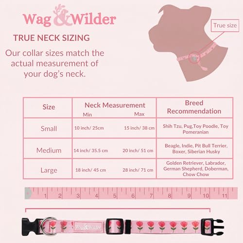 Image of Wag and Wilder Dog Collar and Leash Set for Small, Medium & Large Dogs - Heavy Duty Adjustable Collar & 5 FT Dog Leash Combo, Strong Metal Hook (Jaipur Bloom- Pink, Large, Collar Only)