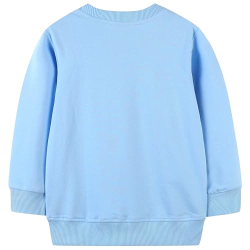 Image of AIWUHE Toddler Cotton Sweatshirt Boys Girls Pullover Long Sleeve Tops 2-6Y