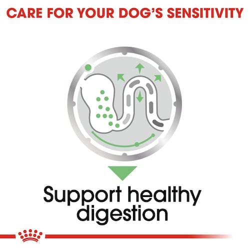 Royal Canin Digestive Care | Doppelpack | 2 x 12 x 85 g | Nassfutter für ausgewachsene Hunde | Ab dem 10. Lebensmonat | Für Hunde mit empfindlicher Verdauung geeignet