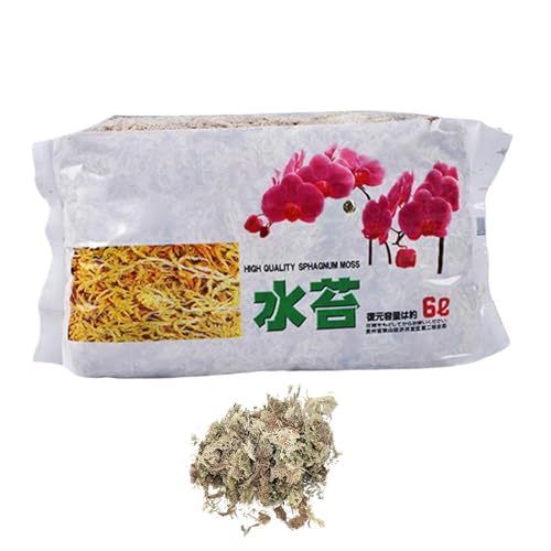 �V�R���� ���|�p �|�{�y ���k�^�C�v �ʋC�� �f�M ������h�~ �ێ� �h�{�L�x ���S ���� ���A�� �����A�� �Ӓ��� �f���h���r�E�� �J���ȂǂɍœK �g���₷�� ���@�\ �ƒ�؉� ঒��ސA���y�� �A�������|�{�p �K�[�f�j���O���D�ƌ��� �v���[���g