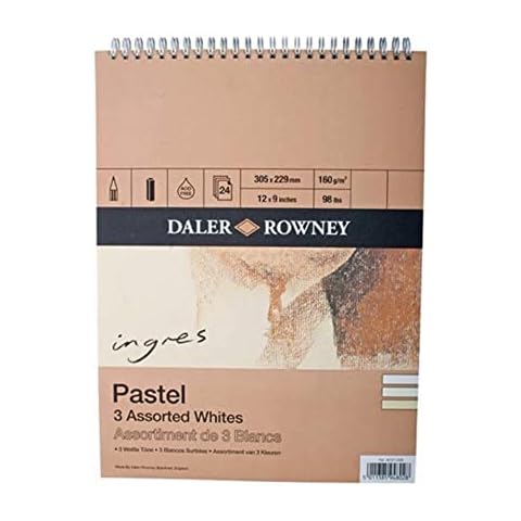 Daler-Rowney 12 x 9in Pastel Paper Pad Cover