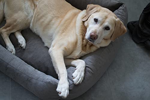 Lebon - Hundebett Gordon -Beige/Braun Kuschelweich mit Dicker Liegefläche- 3 Größen- Waschbar (M)