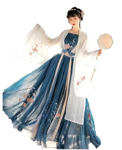 Women’s Chinese Traditional Costume Embroidered Wei Jin Dynasty Style Princess Dress for Folk Dance Performance