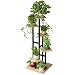 Support Porte Pots De Plante ，Étagère à Fleurs，6 Niveaux Support Pot Fleurs ， Intérieur/extérieurDécoration pour Jardin Balcon Terrasse Couloir Support Pot Fleurs,cadrenoir