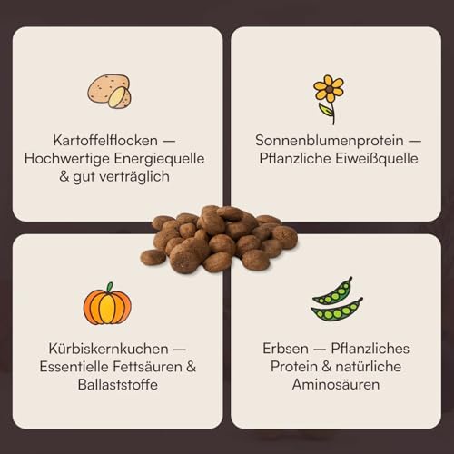 Hunderunde – Trockenfutter für Hunde 2x4kg – Knabberhappen Alleinfutter I vollwertig & pflanzlich I Kann die Verdauung & Fellglanz unterstützen I Insektenprotein Kichererbse Flohsamen Süßkartoffel