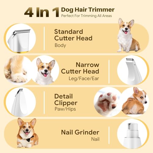 Image of Boltz 4 in 1 Dog & Cat Hair & Paw Trimmer with Nail Grinder - Silent Cordless Grooming Kit for Pets - USB Rechargeable, IPX7 Waterproof, 4 Attachments for Paws, Ears, Face & Nails (White)