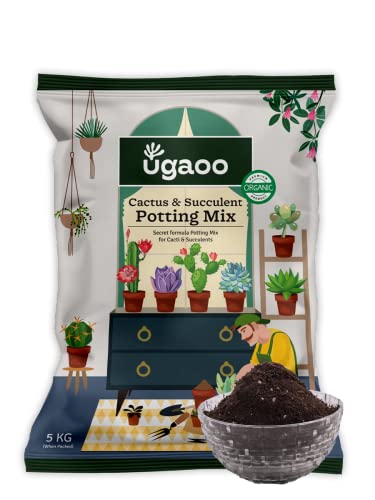 15 Artificial Plant Decorating Ideas 83 UGAOO Cactus & Succulents Soil Mix - 5kg | Well-Draining, Aerated...