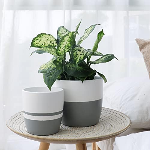 LA JOLIE MUSE Ceramic Round Planter Set for Indoor - Modern Minimalist Plant Pot with Matte Finish, Drain Hole Included, Home Decor Gift, White & Classic Gray