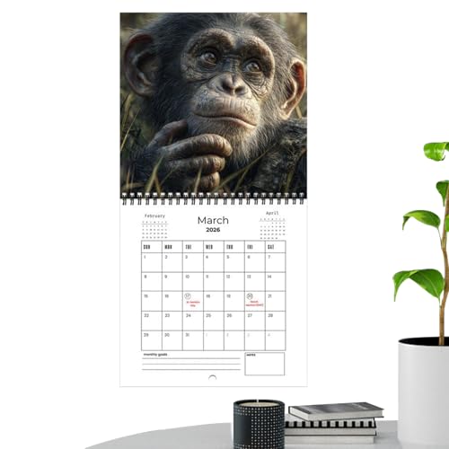 Calendario Mono 2026 – Calendario Animales Divertido 2026 | Planificador Mensual Con Fotos ?les De Monos | Calendarios De Escritorio & Pared Papel Grueso Para Oficina, Cocina, Hogar, Familia, Año