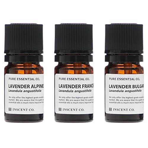 インセント 産地別 ラベンダー 3本セット (各5ml) エッセンシャルオイル 精油 アロマオイル AEAJ表示基準適合認定精油の商品画像（Amazon）
