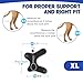 GoGoPaw Dog Knuckling Braces Wrap for Hyperflexion of Phalanges Cause by Sciatic Nerve Damage, Carpal Flexural Deformity - Dual Locking Straps for Safe Adjustable Toe Lift Support (Black, X-Large)