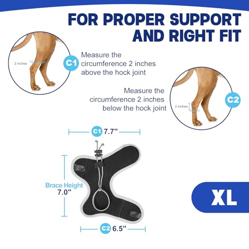 Image of Dog Knuckling Braces Wrap for Hyperflexion of Phalanges Cause by Sciatic Nerve Damage, Carpal Flexural Deformity - Dual Locking Straps for Safe Adjustable Toe Lift Support (Black, X-Large)