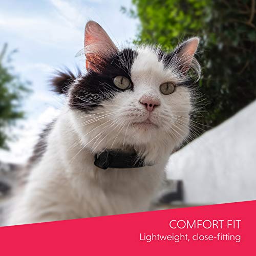 Economy Cat Tracker | GPS | Light Weight | Unlimited Range | Free and shareable app | UK Support | UBEE LYNX - Image 5