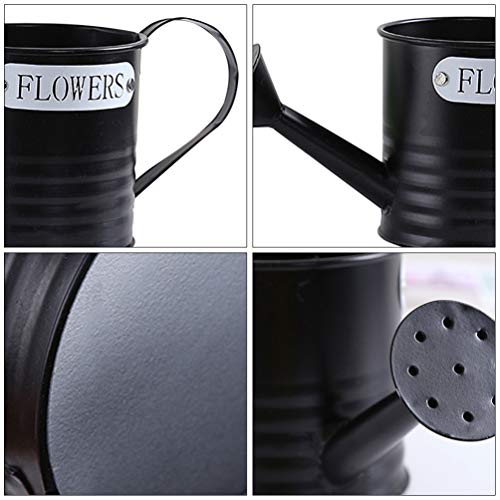 NICEXMAS 2 Pcs Regador de Planta Com Irrigador Flor de Jardim Planta Ao Ar Livre Planta Irrigadora d