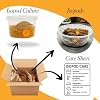 Armadillidium Gestroi Isopods 12 Count Rolie Poly Insects Cleanup Feeder Crew for Terrarium Reptile Pet Food Bioactive