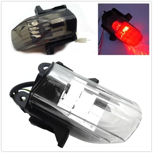 Luz trasera con intermitentes integrados para moto RSVR RSV1000 2