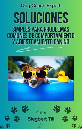 SOLUCIONES SIMPLES para problemas comunes de comportamiento y adi...