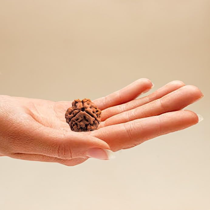 Miniatura 5 de Wonder Care - Cuenta original de Rudraksha nepalí, cuenta de rosario religioso de Rudra natural, Madera, No es una piedra preciosa