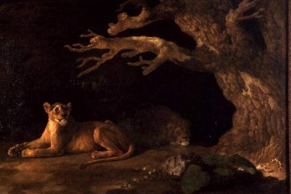 Affiche lion et lionne George Stubbs grand format décoration murale salon toile 60x90