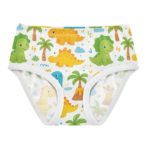 Joisal Toddler Underwear Floral 2t Cotton Panties Little Girl Funny Underpants Briefs Cute White Cartoon Dinosaurs