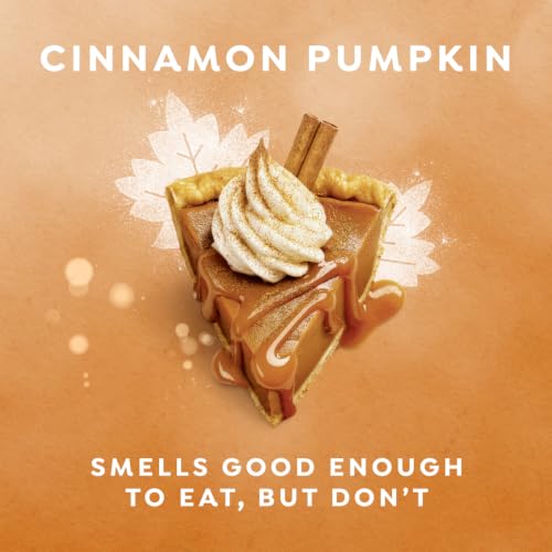 Dove Cinnamon Pumpkin Pie Body Scrub Exfoliates & Moisturizes Skin 15 OZ - image 3