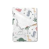 HawSkgFub Baby Toddler Watercolor Dino Roar Blanket Boy Girl Gift, Nursery Daycare Dinosaurs Flannel