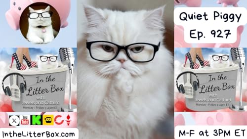 『Quiet Piggy! | In the Litter Box w/ Jewels & Catturd – Ep. 927 – 11/20/2025』のカバーアート