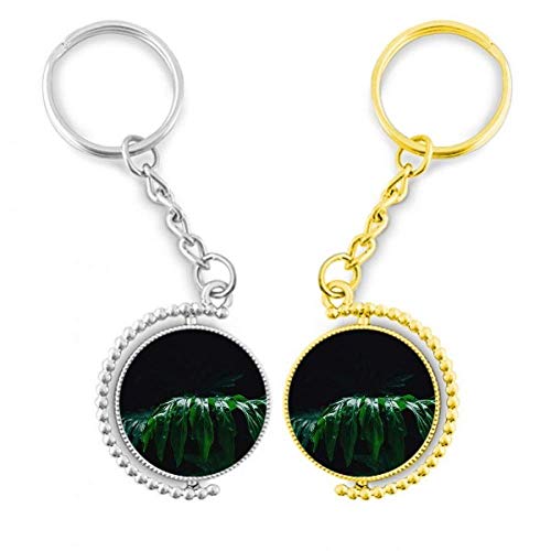 Porte-clés la photographie quitte plant photo anneau métal
