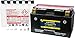 Fire Power CTZ10S-BS Maintenance Free Sealed Battery