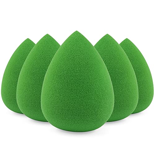 BEAKEY Makeup Sponge Set 5 Pack Micro Porous Low Absorption Soft Latex Free Foundation Beauty Sponges & Blenders for Powder Cream 5pcs multi-colored sponges