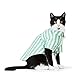 Youly Green Stripe Shirt for Cats, Small/Medium