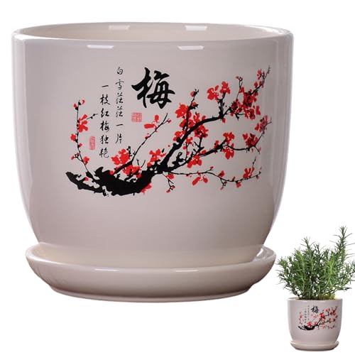 fkngcp Macetas de cerámica para Plantas, macetas de cerámica de Estilo Chino con Bandeja de platillo y Orificio de Drenaje 5.5x4 para Plantas Verdes, orquídeas, arañas y más